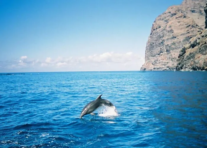 Daire Vacanze Da Sogno