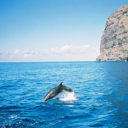 公寓 Vacanze Da Sogno