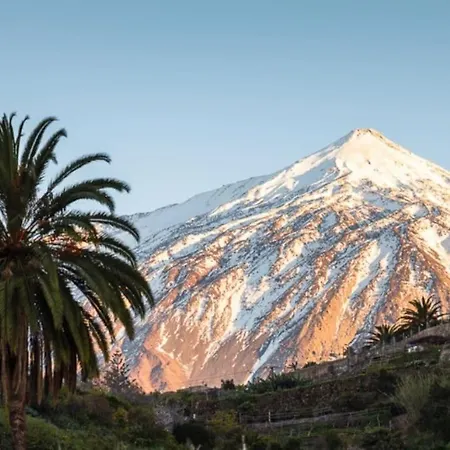 Vacanze Da Sogno 公寓